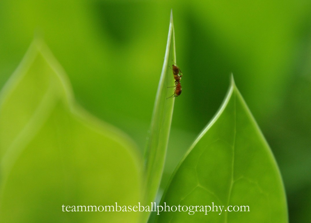 Experimental Outdoors