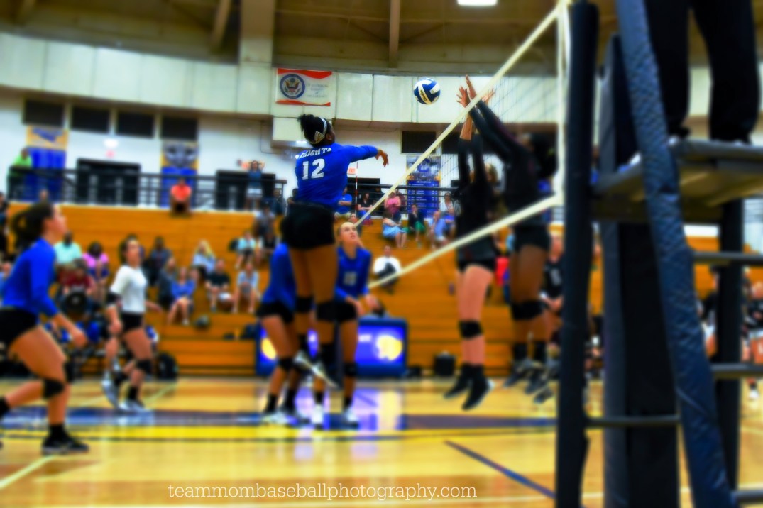 CarmenNew-79 WM Miniature Effect