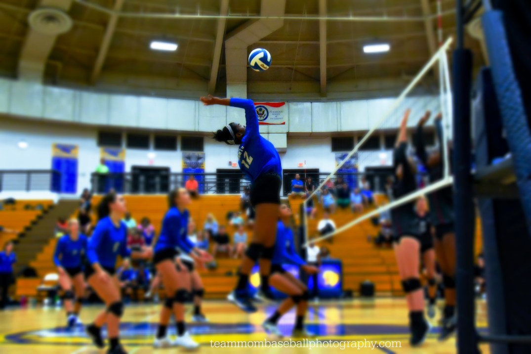 CarmenNew-83 WM Effect