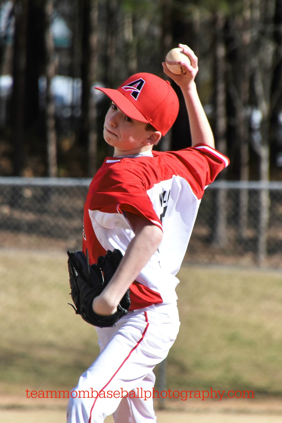 Softball-Baseball2-24-18-10 (2) WM