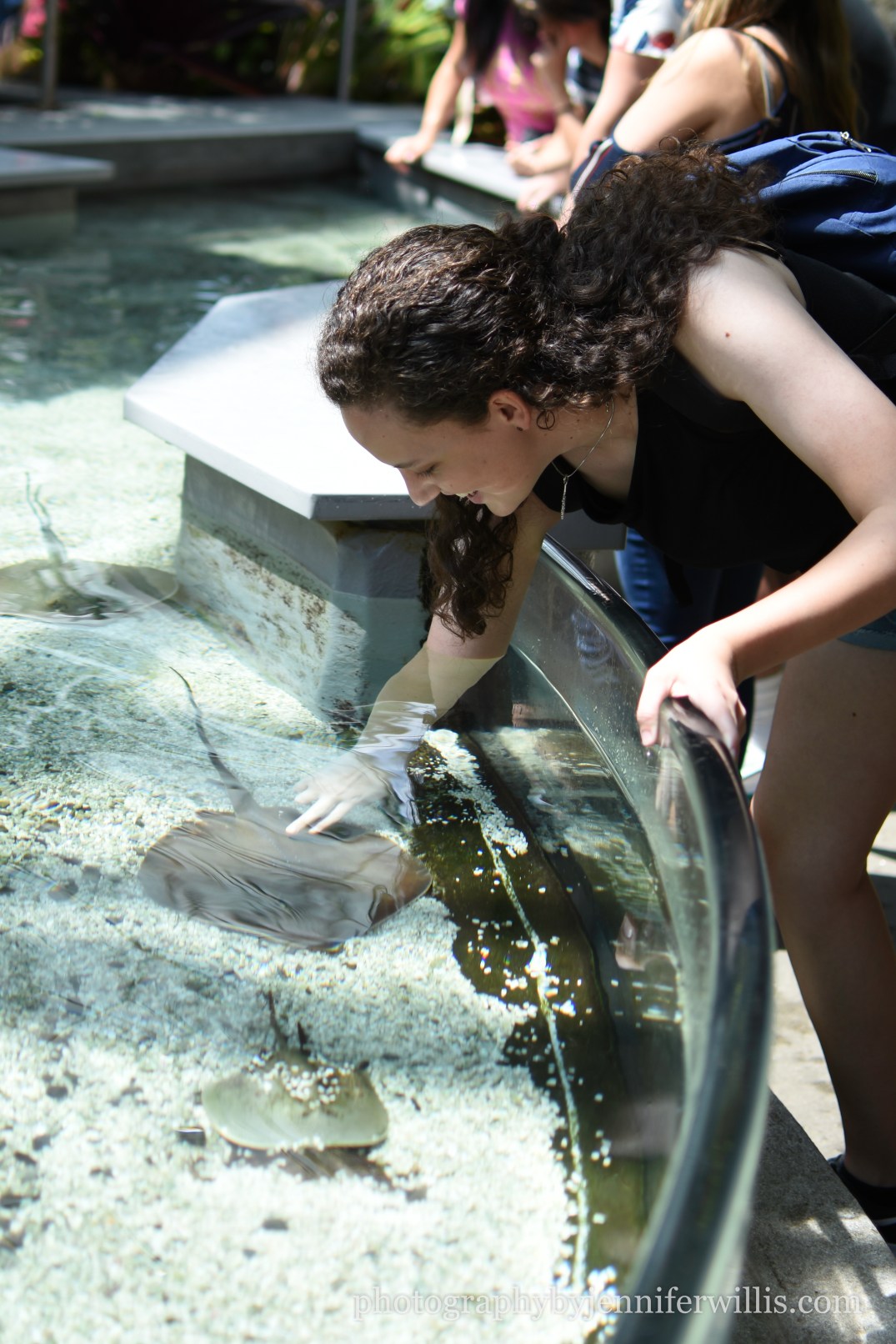 Tennessee Aquarium w Georgia WM-13